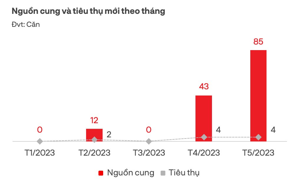 Vào mùa du lịch, thị trường bất động sản Đà Nẵng diễn biến ra sao? - Ảnh 3.