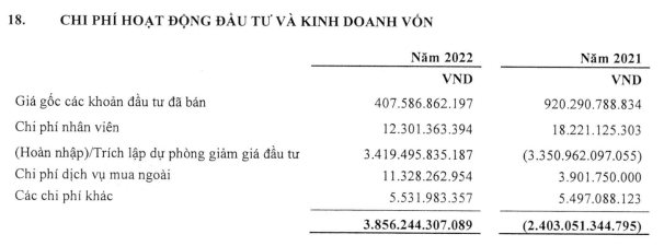 SCIC giảm 63% lợi nhuận do khoản đầu tư vào Vietnam Airlines - Ảnh 3.