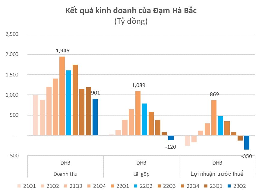 Khoản lỗ lớn nhất từ đầu mùa BCTC quý 2: Công ty phân đạm lỗ hơn 300 tỷ đồng, đồ thị lợi nhuận hình “cây thông” - Ảnh 2.