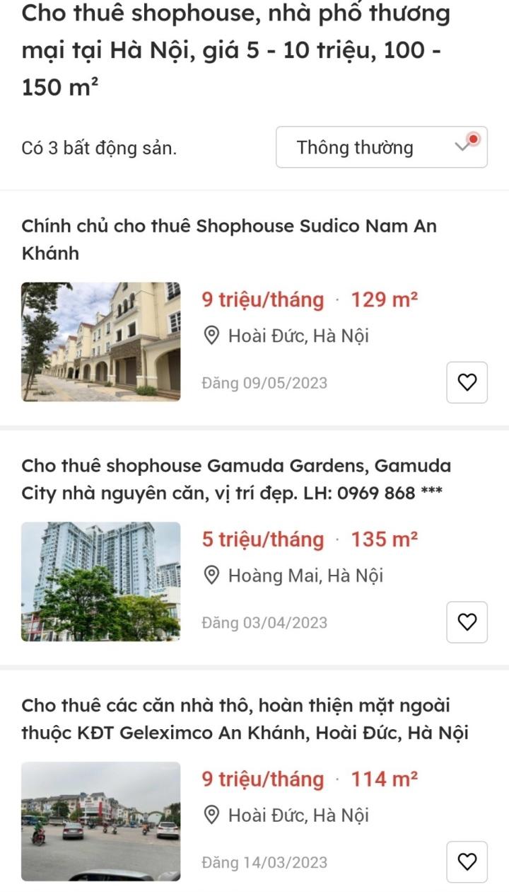 Nghịch lý đầu tư shophouse hàng chục tỉ đồng, giờ cho thuê 10 triệu đồng/tháng - Ảnh 2.