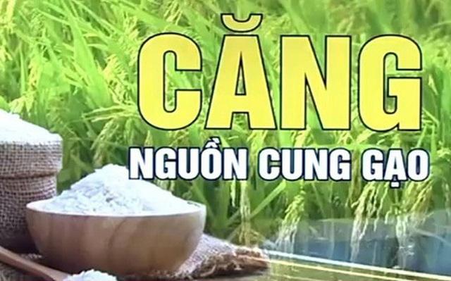 Ấn Độ cấm xuất khẩu gạo: Thị trường lương thực thế giới tiếp tục đón cú sốc