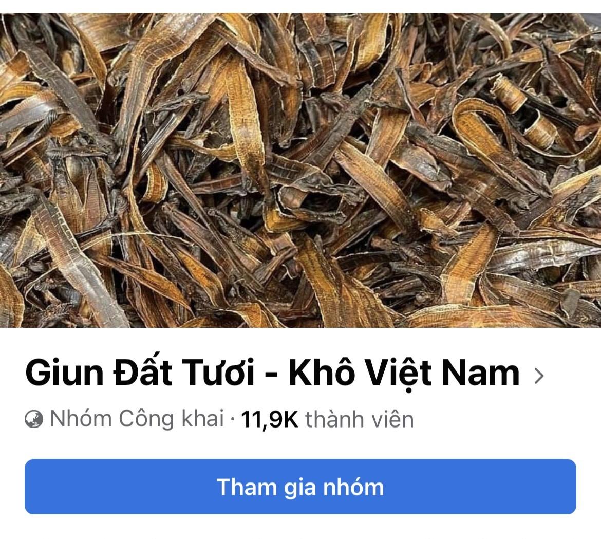 Rất nhiều nhóm mua bán giun trên mạng xã hội. Ảnh chụp màn hình.