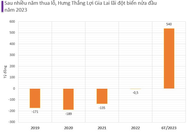 Công ty con của HAGL (HAG) lãi đột biến 540 tỷ đồng trong nửa đầu năm 2023 sau nhiều năm thua lỗ liên tiếp - Ảnh 2.