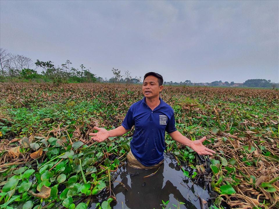 Lưu ý quan trọng khi mua đất nông nghiệp