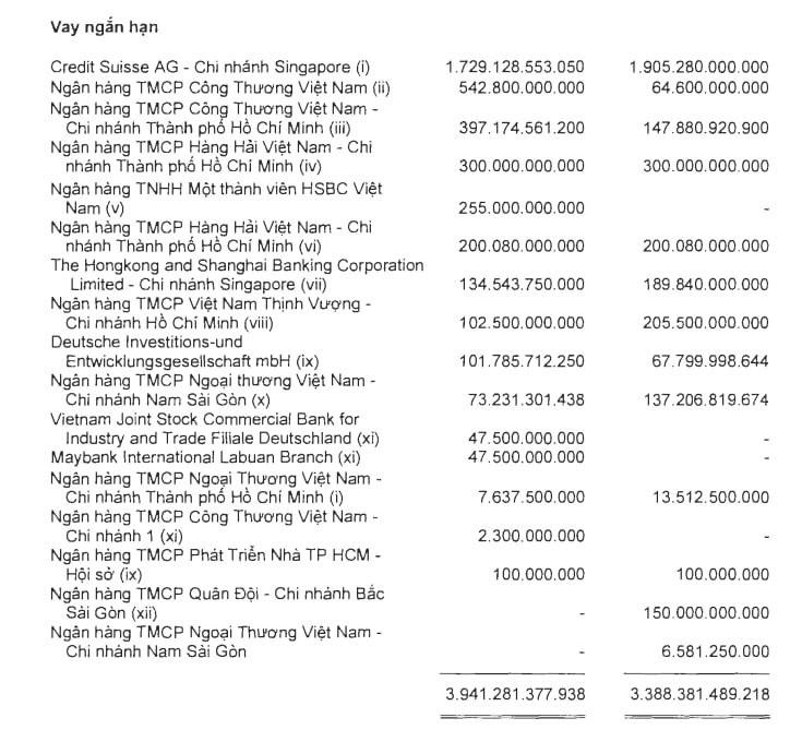 Những ngân hàng nào đang cho Novaland vay nợ? - Ảnh 3.