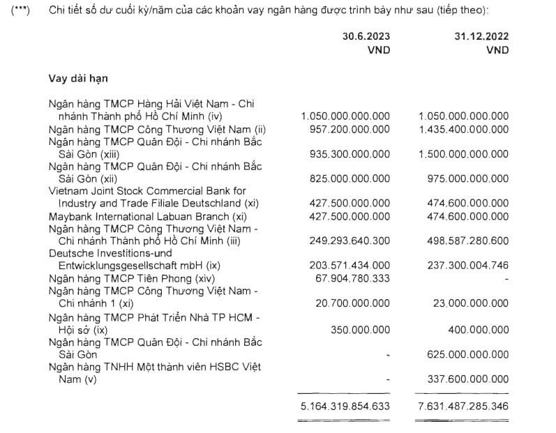 Những ngân hàng nào đang cho Novaland vay nợ? - Ảnh 4.