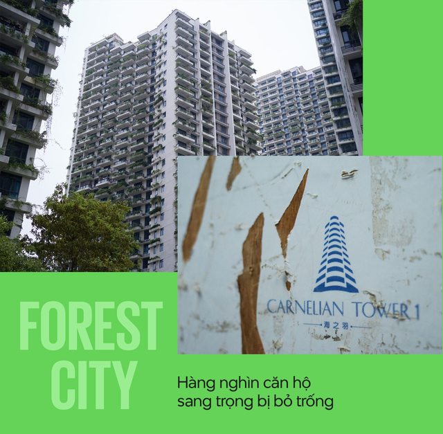 Forest City - ‘Cạm bẫy 5 sao’ của Country Garden: Nhà mua 6 năm chưa có giấy tờ, chủ căn hộ không thể bán hay cho thuê vì chẳng ai dám đến - Ảnh 5.