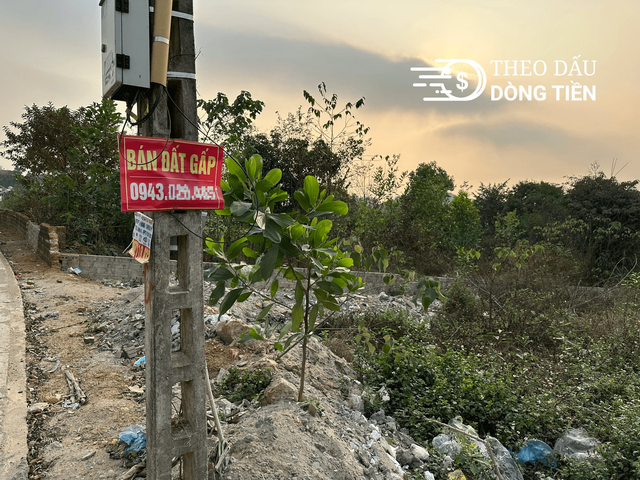 “Nhà đầu tư thông thái sẽ không bán bất động sản lúc này”