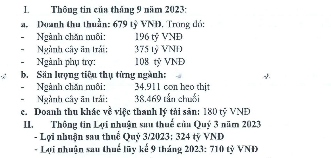 Hoàng Anh Gia Lai (HAGL): Lợi nhuận 9 tháng đạt 710 tỷ đồng, tự tin nguồn thu từ chuối sẽ tăng mạnh vào cuối năm - Ảnh 1.