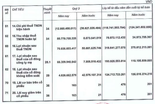 Doanh thu giảm 60%, Nam Long (NLG) vẫn báo lãi ròng quý 3/2023 gấp 8 lần cùng kỳ nhờ một yếu tố bất ngờ - Ảnh 2.