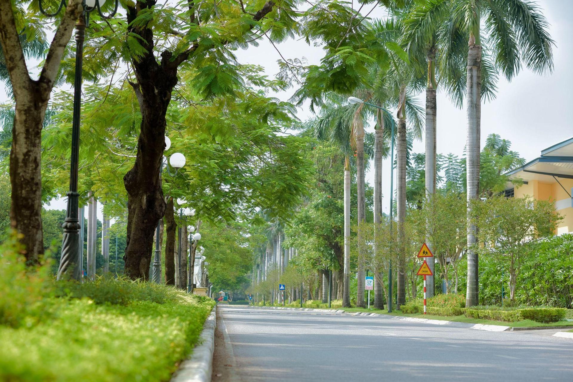 ‏Khu nhà giàu hơn 2 tỷ USD, có trung tâm thương mại hoành tráng nhất Hà Nội giờ ra sao? - Ảnh 7.