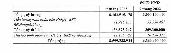 Lương lãnh đạo Vietnam Airlines bao nhiêu? - Ảnh 2.