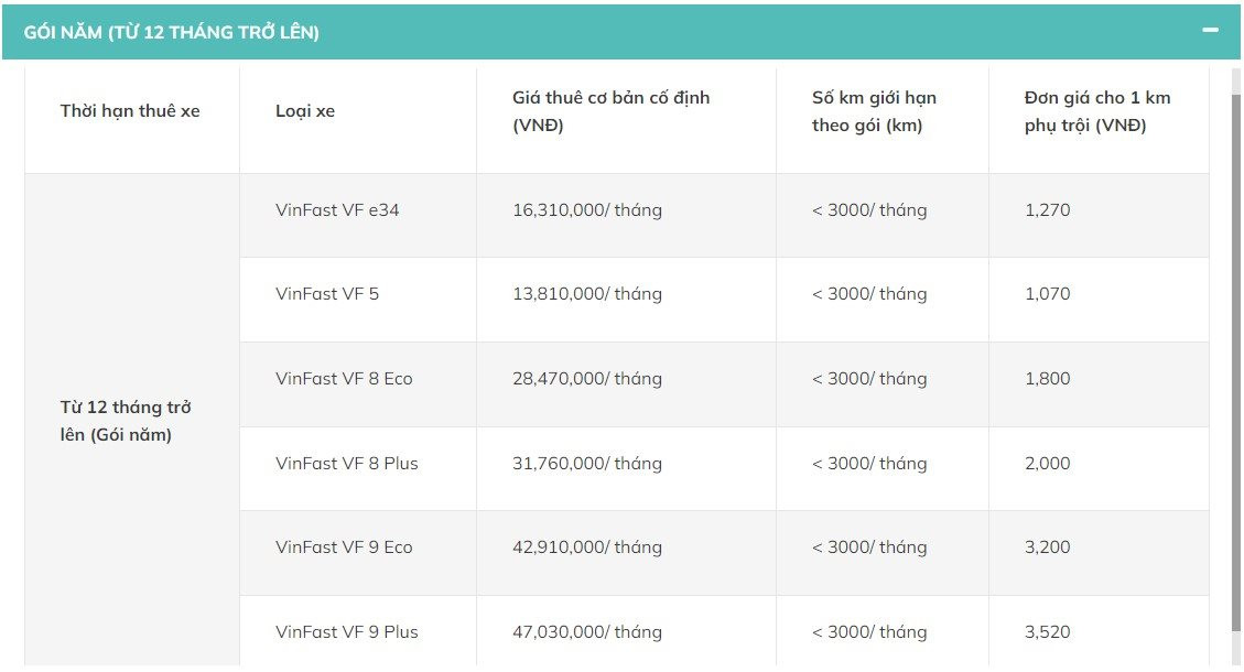 Xanh SM tung dịch vụ cho thuê xe ngày Tết, cao nhất 34,4 triệu đồng cho 10 ngày - Ảnh 4.