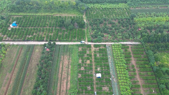 Những dự án đang chạy đua với thời gian giúp đưa huyện phía Tây Hà Nội lên quận trong năm tới - Ảnh 11.