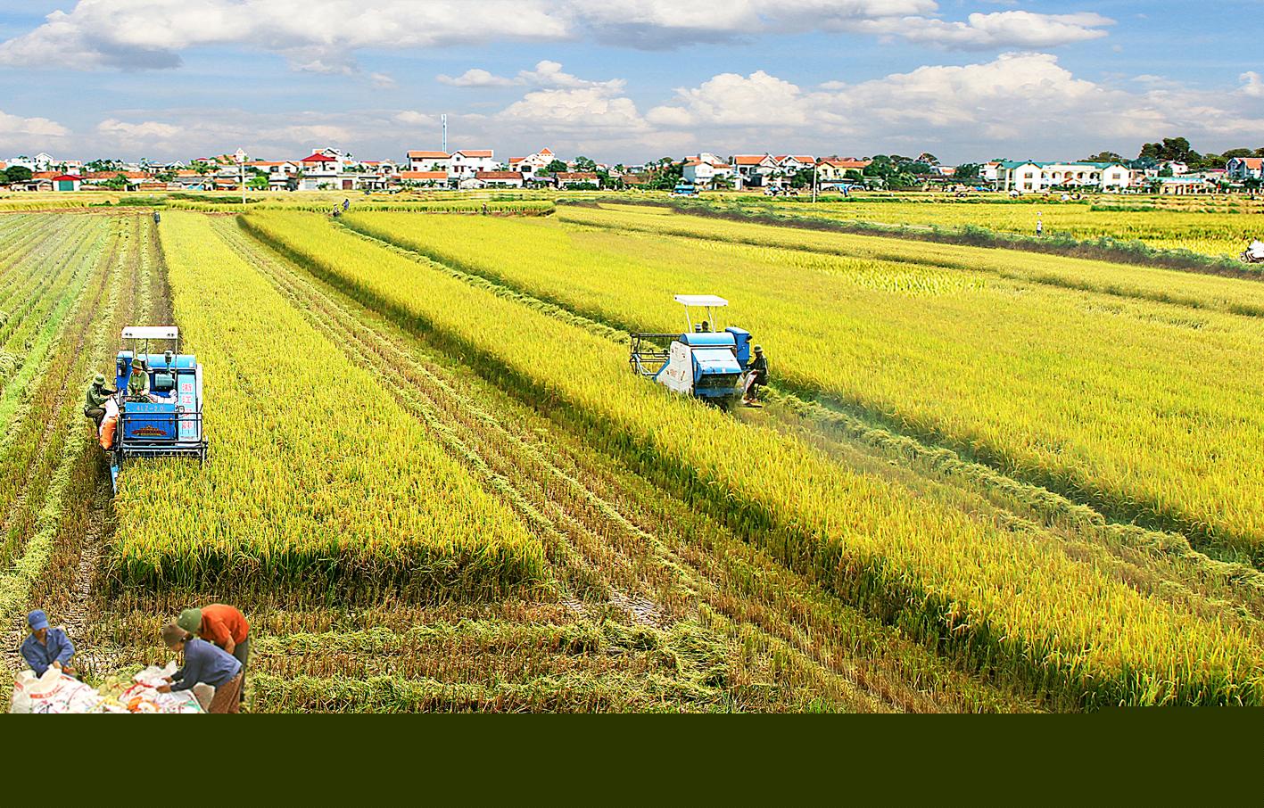 Một ngành kinh tế tại Việt Nam có mức tăng trưởng cao nhất trong nhiều năm, thặng dư thương mại kỷ lục- Ảnh 1.