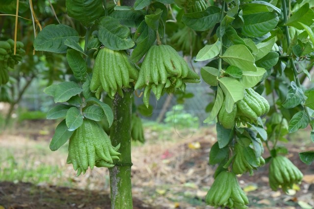 Những dự án đang chạy đua với thời gian giúp đưa huyện phía Tây Hà Nội lên quận trong năm tới - Ảnh 12.