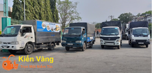 Top 3 công ty dịch vụ chuyển nhà tại Hà Nội giá rẻ - Ảnh 5.