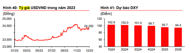 Năm 2024, tỷ giá USD/VND sẽ giảm khoảng 2%? - Ảnh 1.