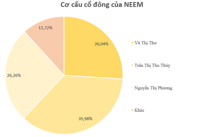 Mới lên sàn trong tháng 1, bộ đôi doanh nghiệp có cổ phiếu tăng phi mã 400%-500% có gì đặc biệt? - Ảnh 6. Mới lên sàn trong tháng 1, bộ đôi doanh nghiệp có cổ phiếu tăng phi mã 400%-500% có gì đặc biệt? - Ảnh 6.