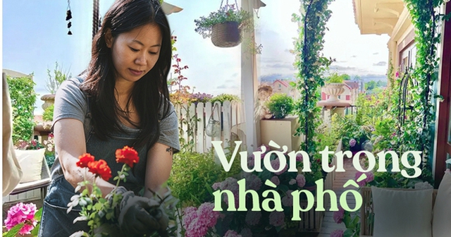 Bất chấp nhiều phản đối, tôi vẫn nhất quyết mua căn chung cư ở tầng cao nhất và biến ban công thành một khu vườn