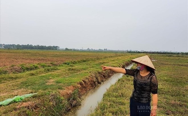 Lấn chiếm đất nông nghiệp có thể bị phạt tới 1 tỉ đồng?