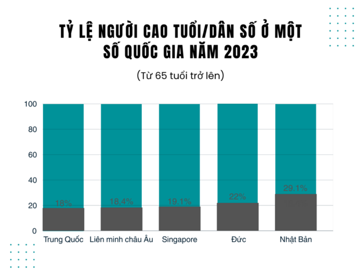 Nền kinh tế bạc, thị trường tỷ đô đang bị bỏ ngỏ ở Việt Nam- Ảnh 5.