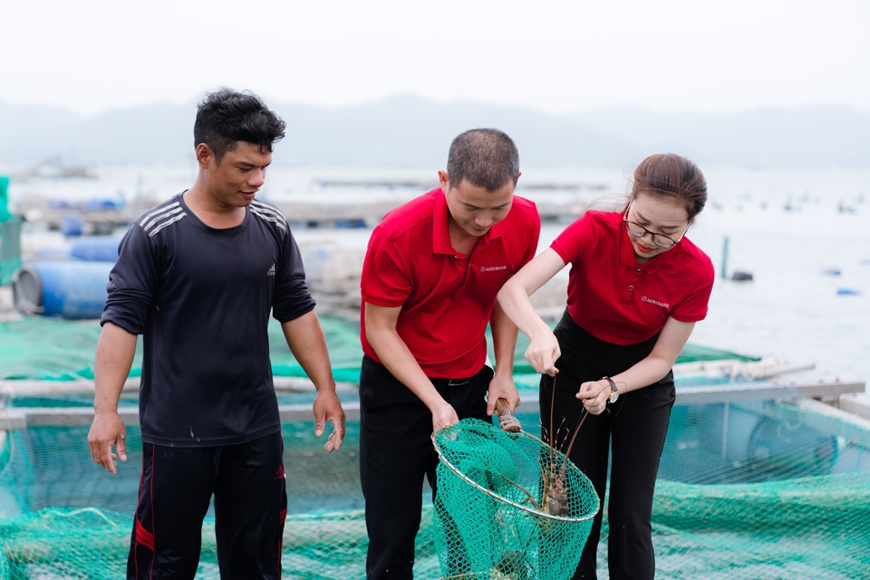 Agribank đang chủ động dành khoảng 250.000 tỷ đồng để triển khai các chương trình tín dụng ưu đãi lãi suất tới nhiều đối tượng khách hàng.