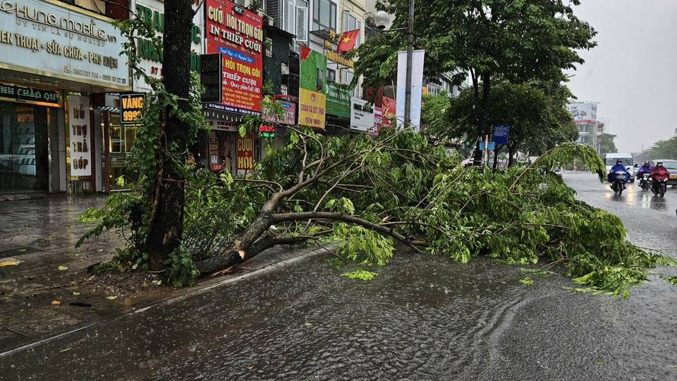 Hà Nội: mưa to, gió lớn gây đổ cây, ngập nhẹ tại một số tuyến phố - Ảnh 11