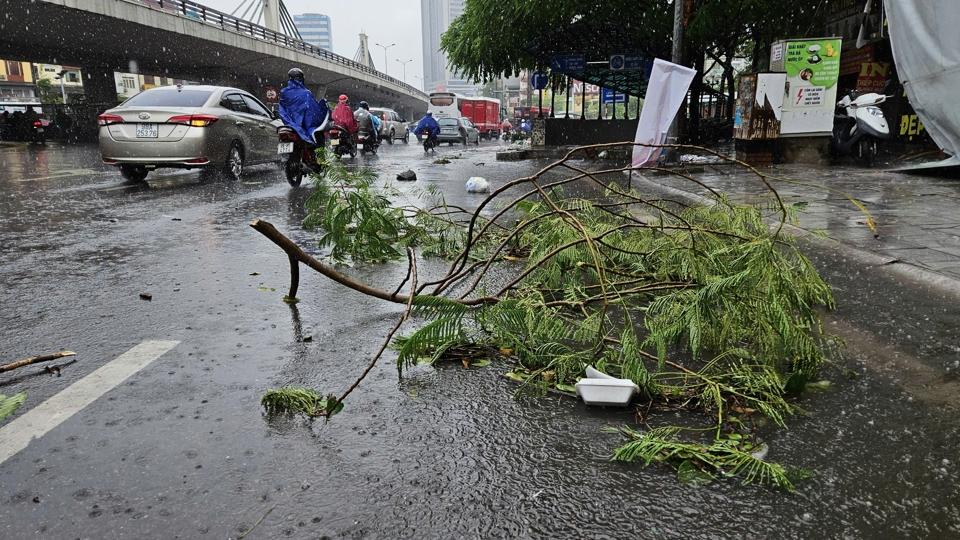 Hà Nội: mưa to, gió lớn gây đổ cây, ngập nhẹ tại một số tuyến phố - Ảnh 15