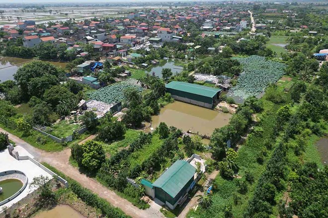 Ai có trách nhiệm quản lý đất chưa sử dụng ở địa phương?