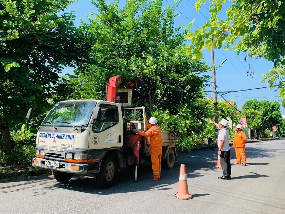 PC Ninh Bình tổ chức chặt tỉa, phát quang hành lang lưới điện trước khi báo số 3 đổ bộ vào đất liền