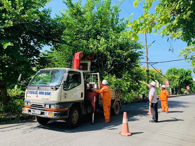 2. PC Ninh Bình tổ chức chặt tỉa, phát quang hành lang lưới điện trước khi báo số 3 đổ bộ vào đất liền