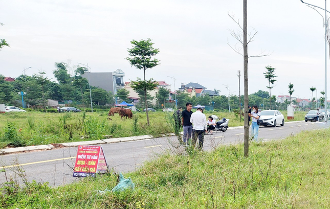 Huyện ngoại thành Hà Nội đấu giá hơn 100 lô đất- Ảnh 5.