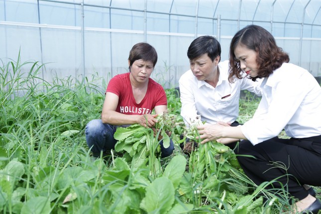Agribank đồng hành phát triển kinh tế - xã hội trên địa bàn Thủ đô - Ảnh 1