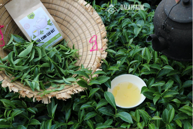 DalatFarm và hành trình chắt lọc nên những tách trà mang đậm bản sắc Việt - Ảnh 1. DalatFarm và hành trình chắt lọc nên những tách trà mang đậm bản sắc Việt - Ảnh 1.