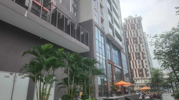 Khó phân biệt chung cư thực sự “sốt” giá hay chiêu trò của môi giới. Ảnh: Minh Hạnh