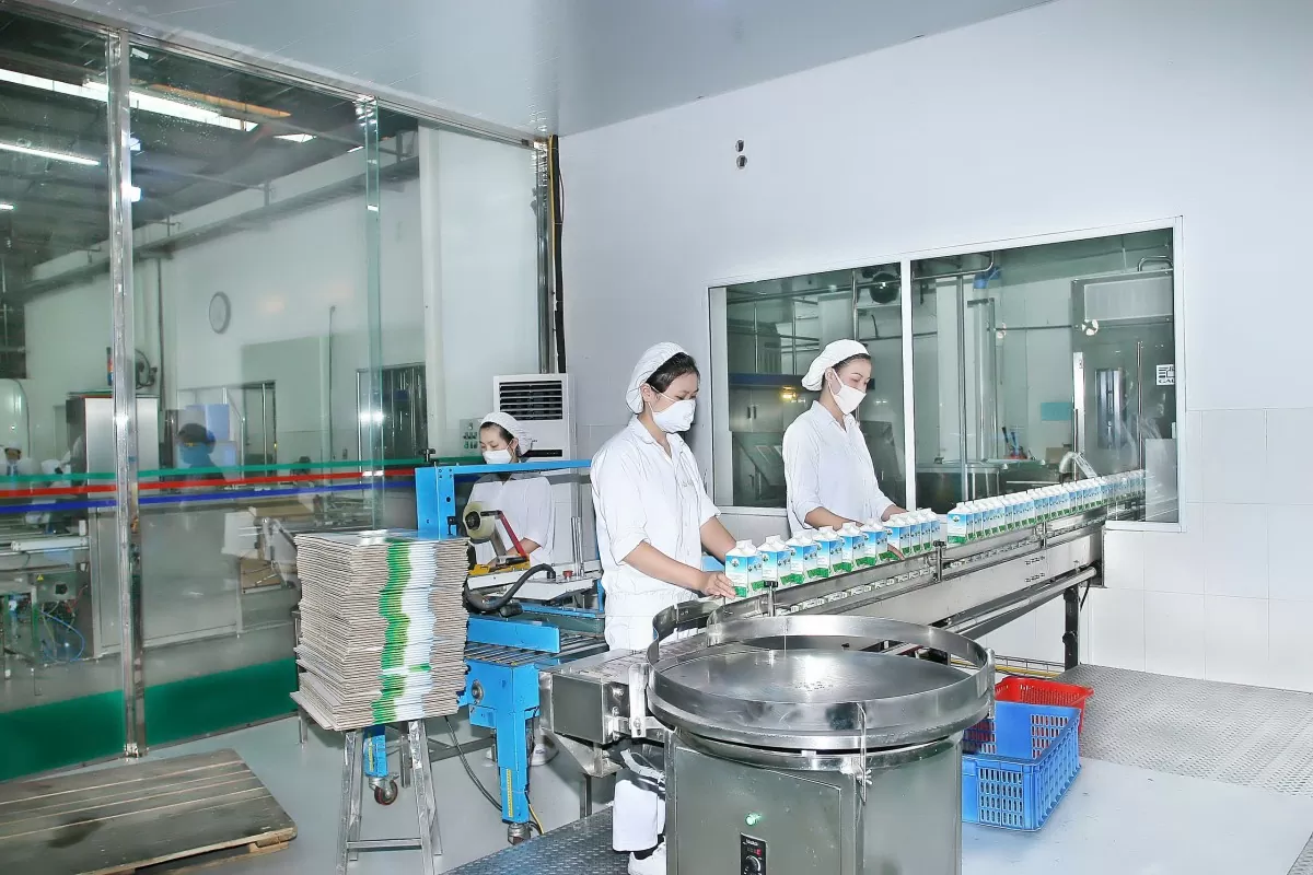 Mộc Châu Milk vinh dự được công nhận Thương hiệu Quốc gia Việt Nam 2024 Mộc Châu Milk vinh dự được công nhận Thương hiệu Quốc gia Việt Nam 2024