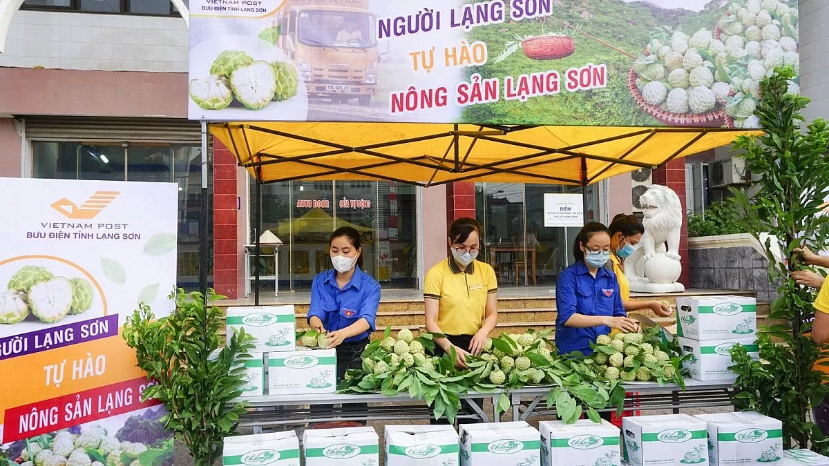 Lạng Sơn: Mở rộng kênh tiêu thụ cho nông sản thế mạnh