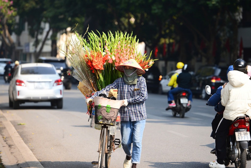 Ảnh minh hoạ