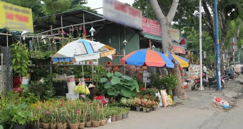 lừa đảo sinh vật cảnh không gian mạng lừa đảo sinh vật cảnh không gian mạng