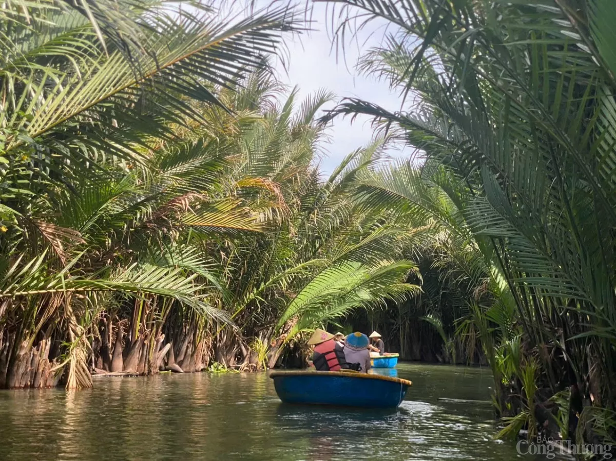 Du lịch Hội An: Ngày hè sôi động tại rừng dừa Bảy Mẫu Du lịch Hội An: Ngày hè sôi động tại rừng dừa Bảy Mẫu