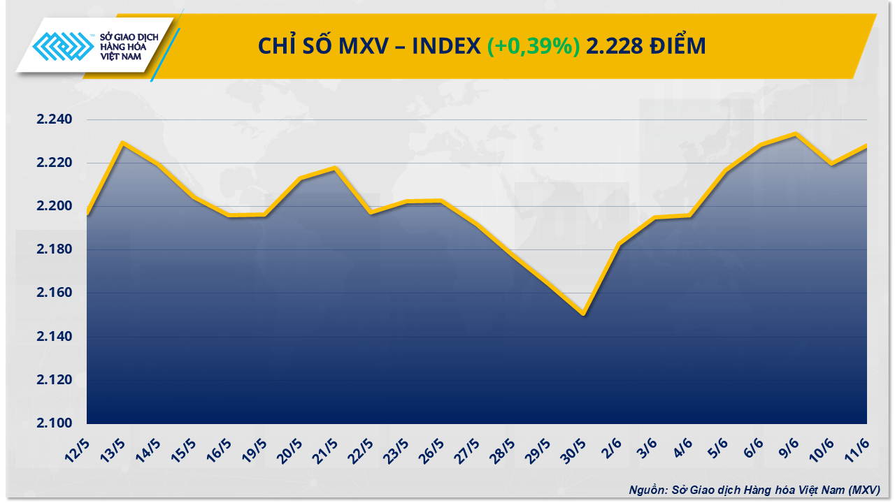 mxv-index-14.png