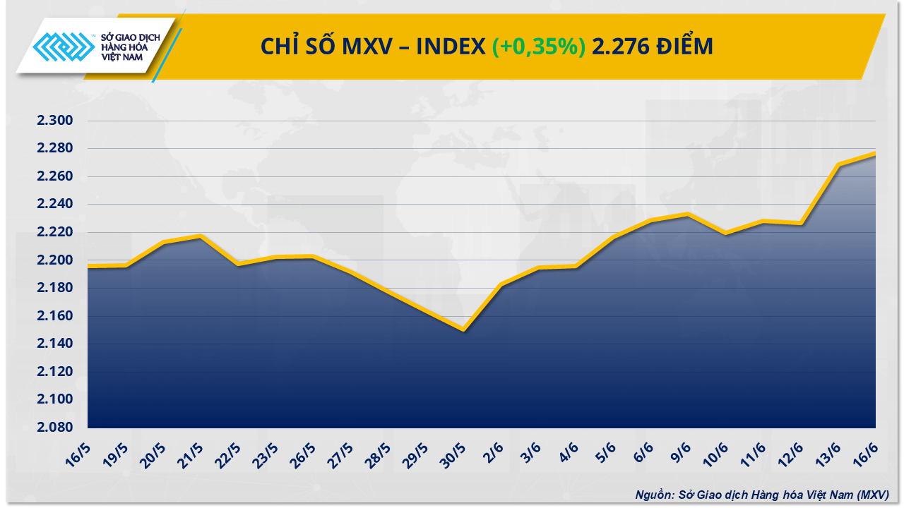 mxv-index-15.png