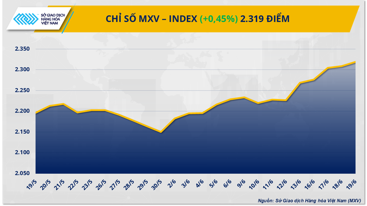 mxv-index-25-.png