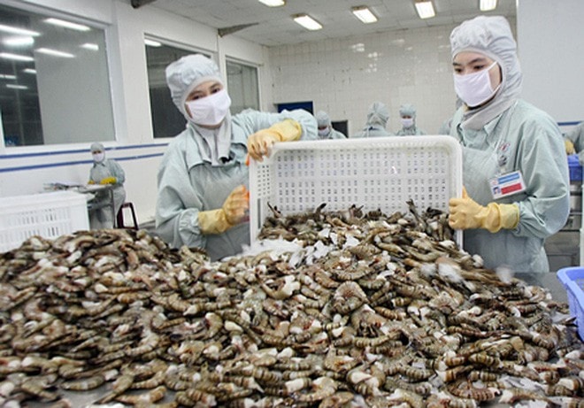 Xuất khẩu tôm Việt Nam được dự báo thuận lợi hơn trong năm 2020
