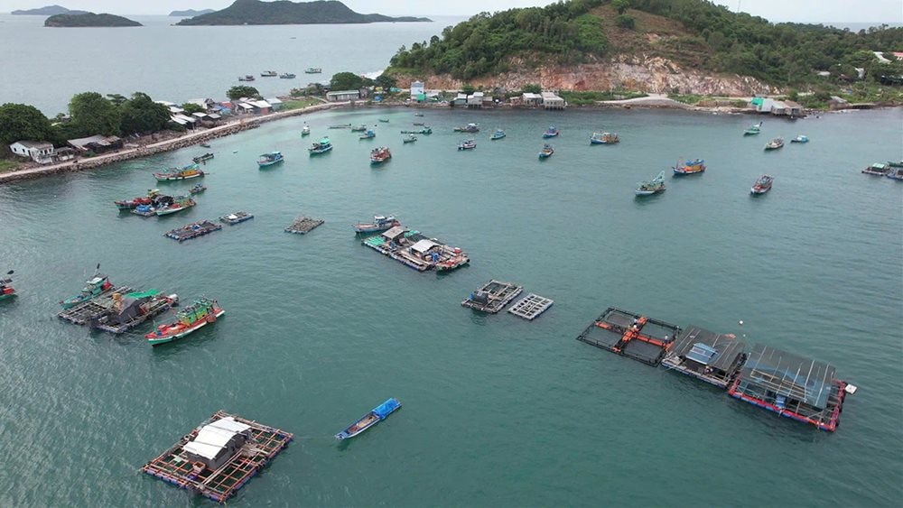 nuoi-ca-long-be-tai-xa-dao-son-hai..jpg