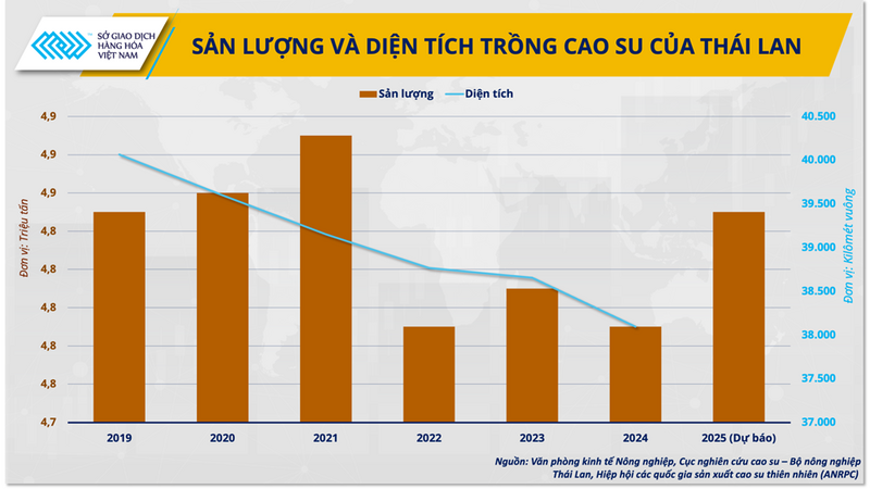 Sản lượng và diện tích trồng cao su của Thái Lan
