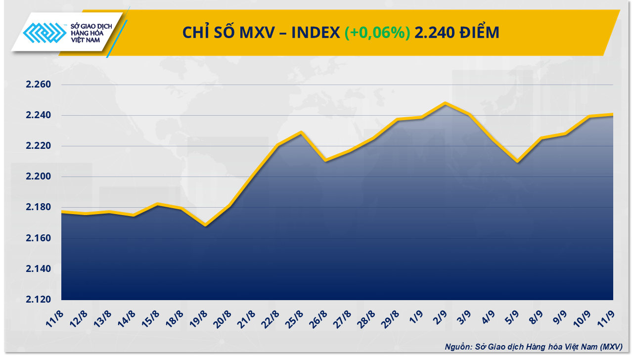 mxv-index-65-.png
