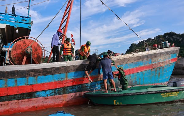 Đặc khu Cát Hải hỗ trợ nhân dân về nơi tránh trú an toàn. Ảnh: Cổng TTĐT đặc khu Cát Hải