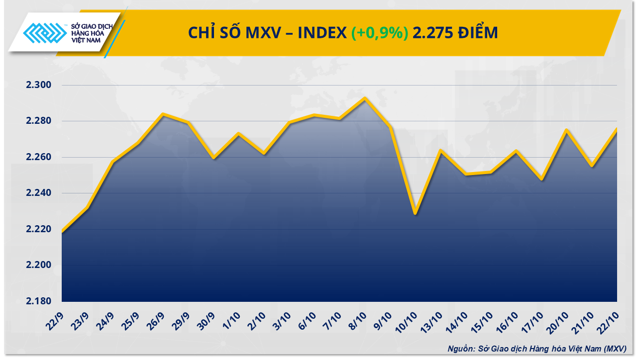 mxv-index-14.png